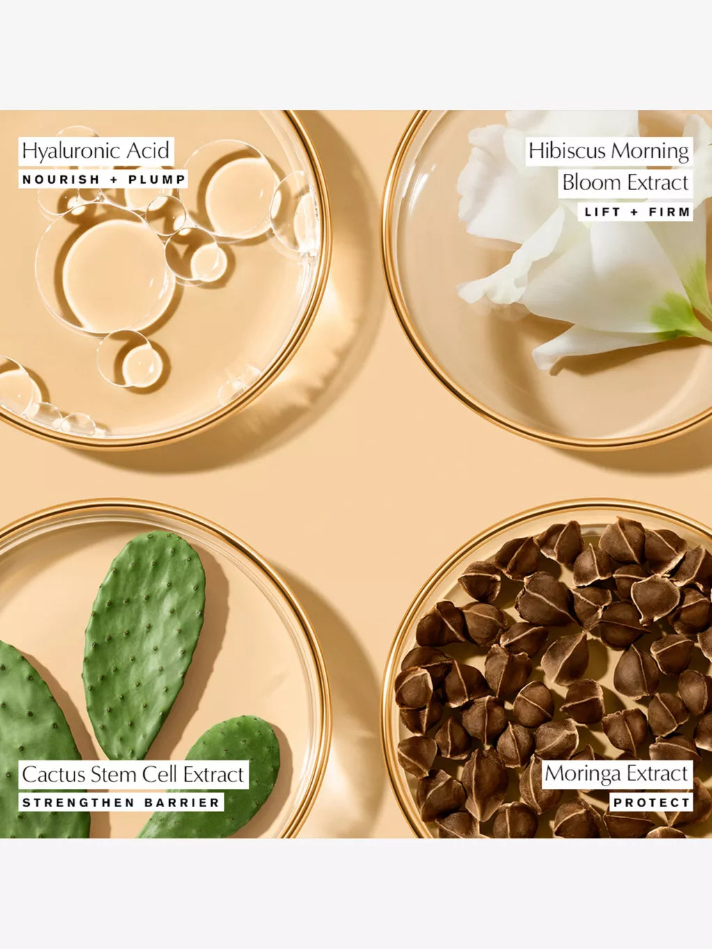 Revitalizing Supreme+ Youth Power cream refill 50ml